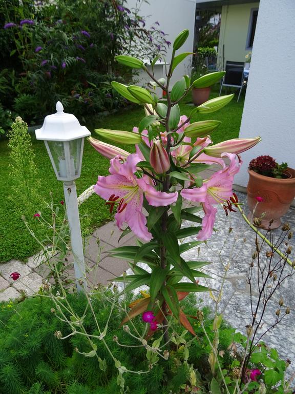 Ferienwohnung Traudl Singer Innsbruck Esterno foto